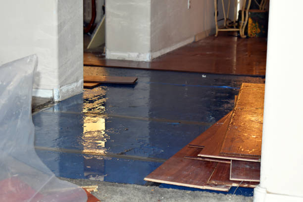 Professional Basement Flooding technician working in Montgomery, IL